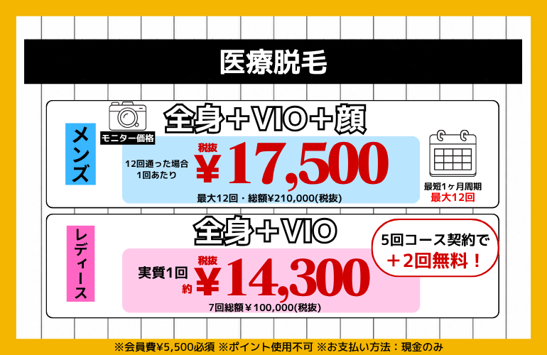 メンズ 全身＋VIO＋顔 モニター価格。12回通った場合1回あたり税抜17,500円。最大12回・総額210,000円（税抜）。最短1ヶ月周期。